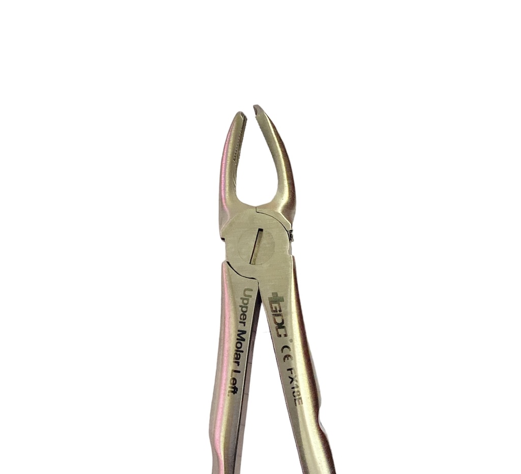 Upper Molar Forcep