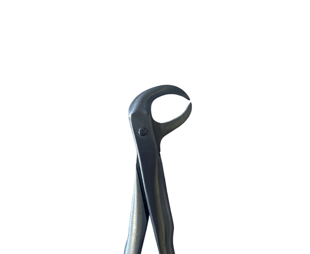 Lower Cow Horn Forcep