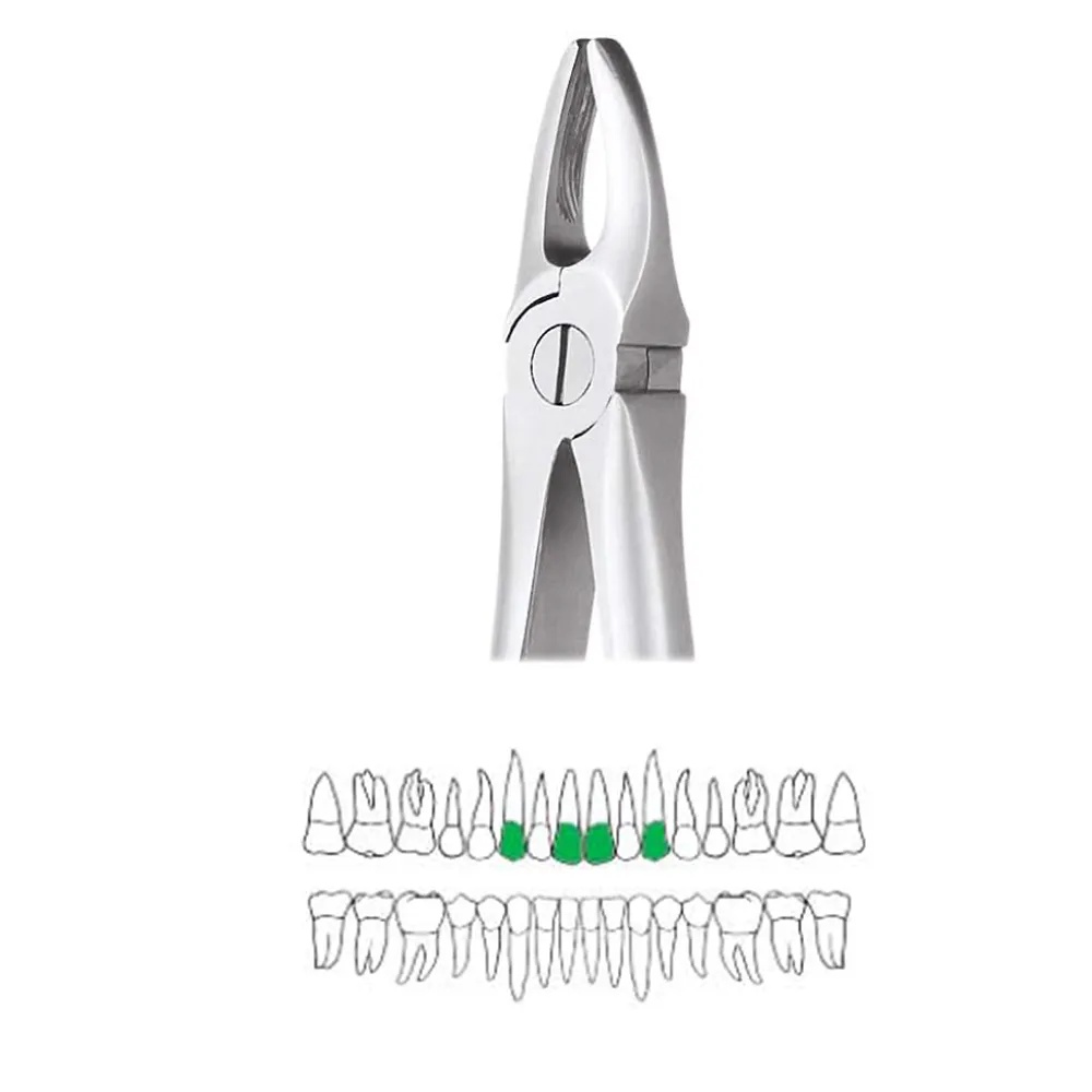 Maxillary Anterior Forcep