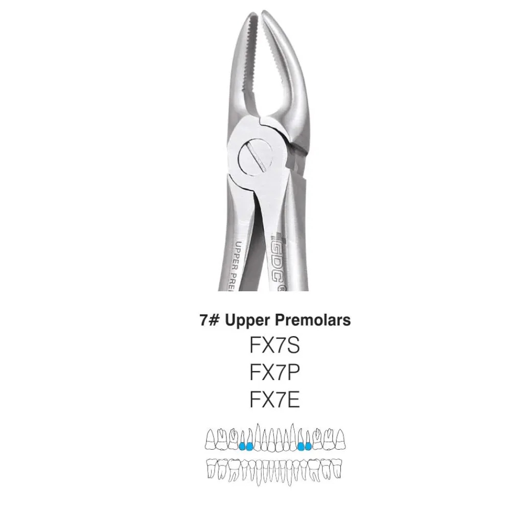 Maxillary Premolar Forcep