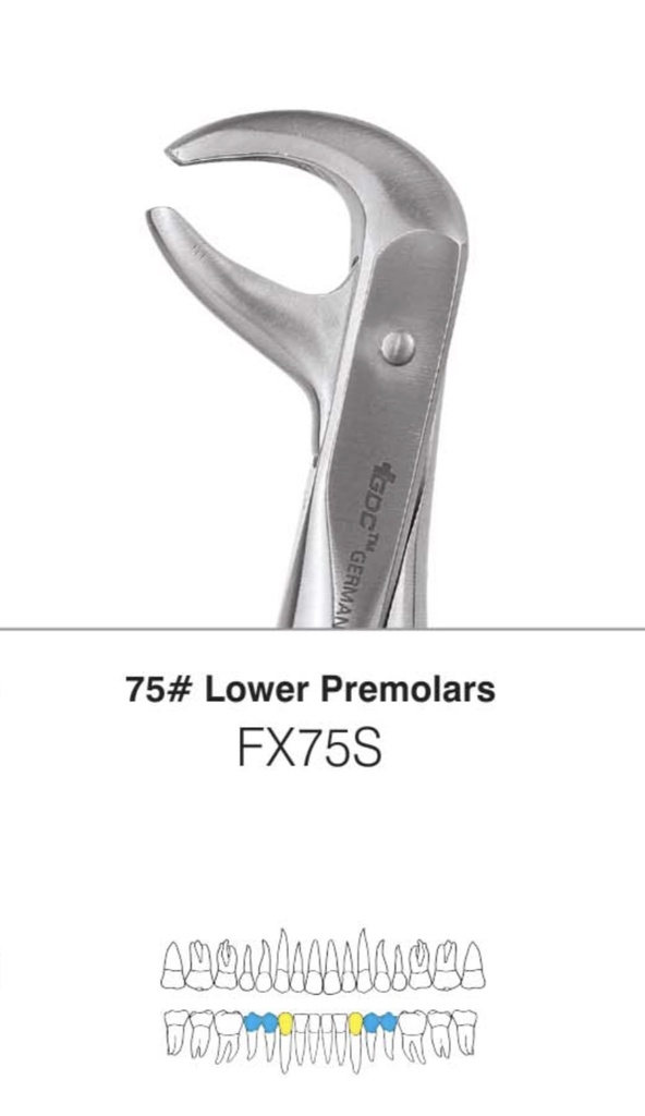 Mandibular Premolar Forcep