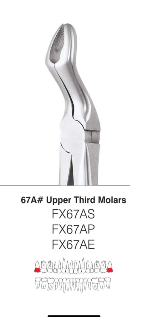 Maxillary 3rd Molar Forcep