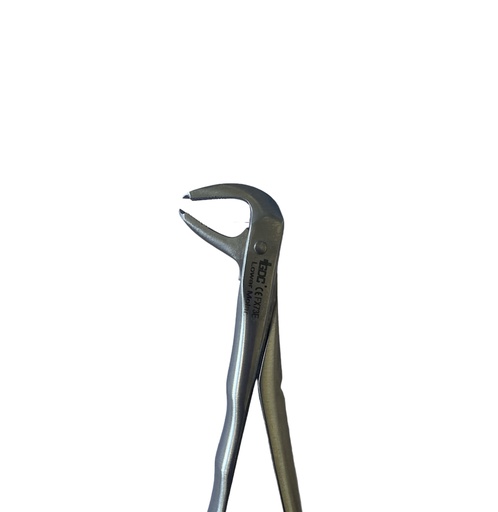 Lower Molar Forcep