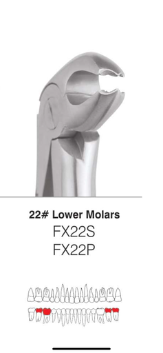 Mandibular Molar Forcep