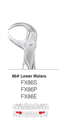 Mandibular Cow Horn Forcep
