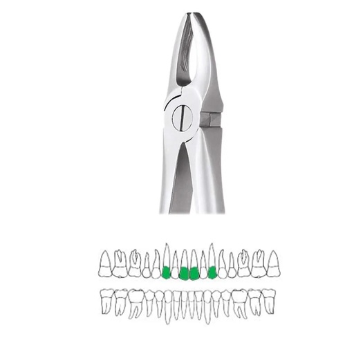 Maxillary Anterior Forcep