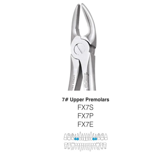 Maxillary Premolar Forcep