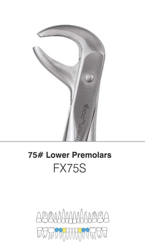 Mandibular Premolar Forcep