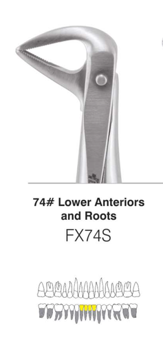 Mandibular Anterior Forcep