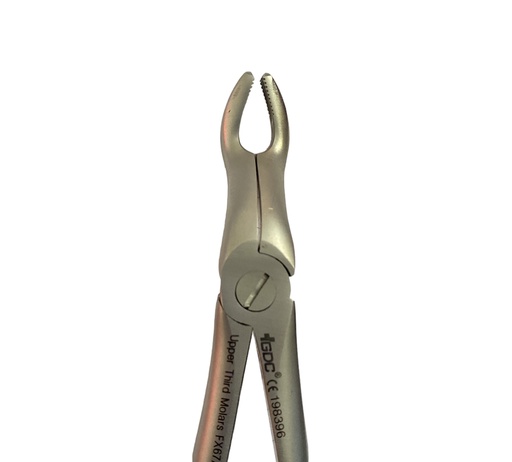 Upper 3rd Molar Forcep