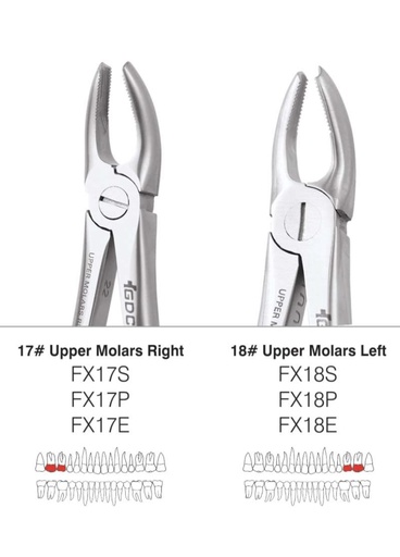 Maxillary Molar Forcep